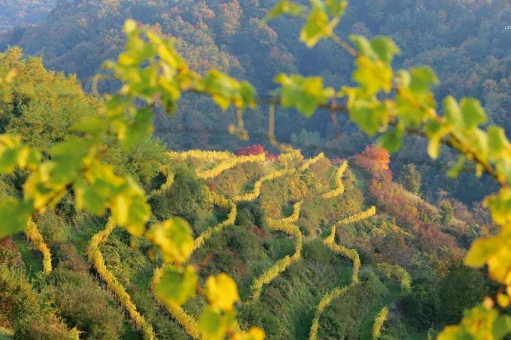 Wijnproeverij Amsterdam