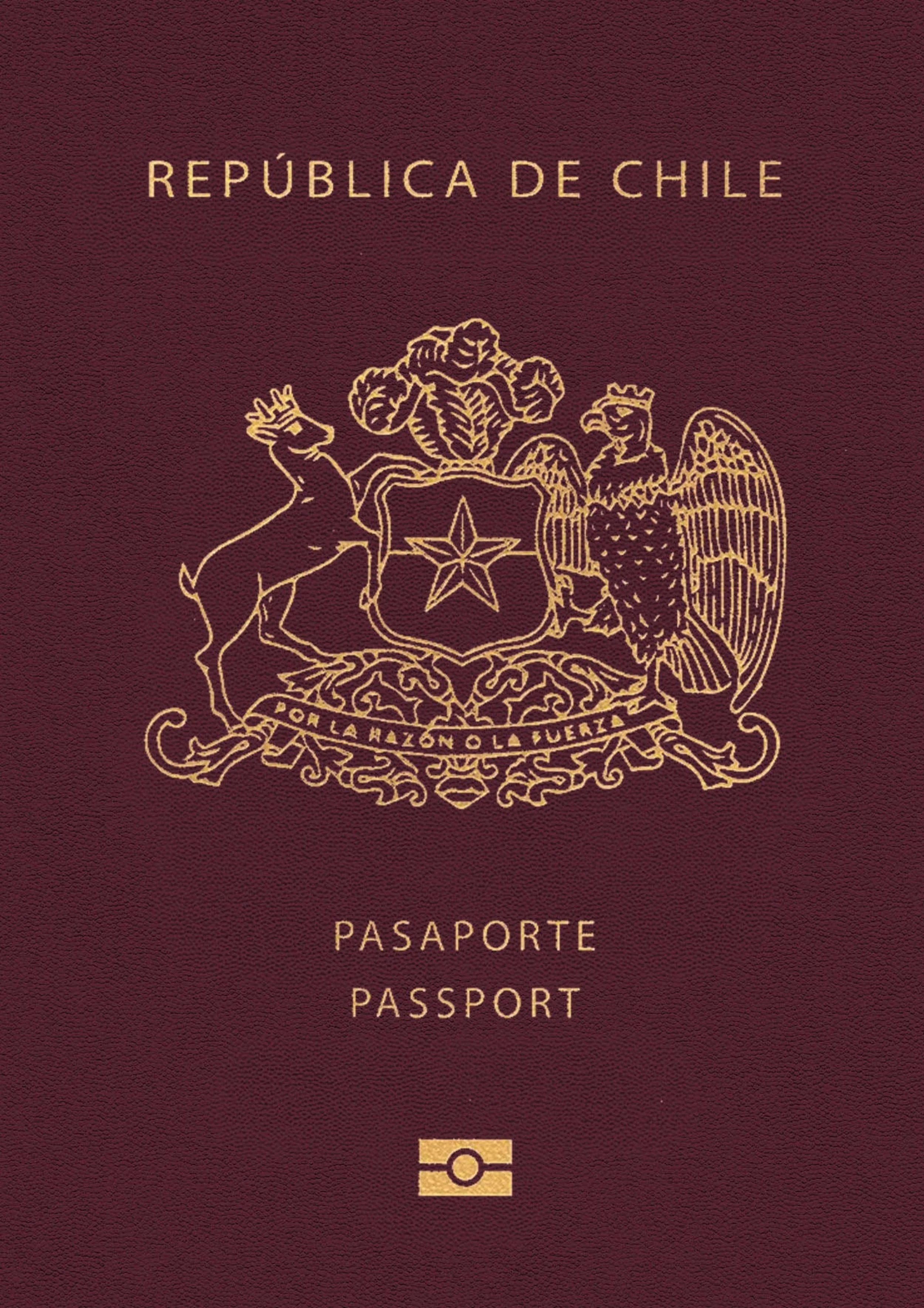 Santa Rita | The New Bunch