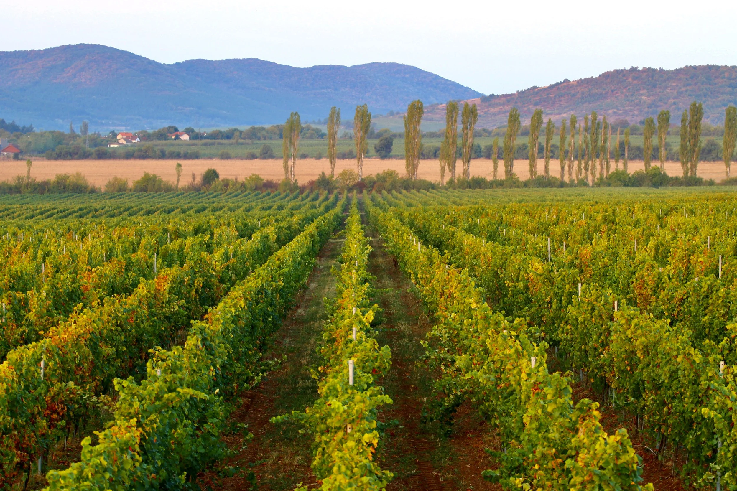 Verken het oostblok met Bulgarije