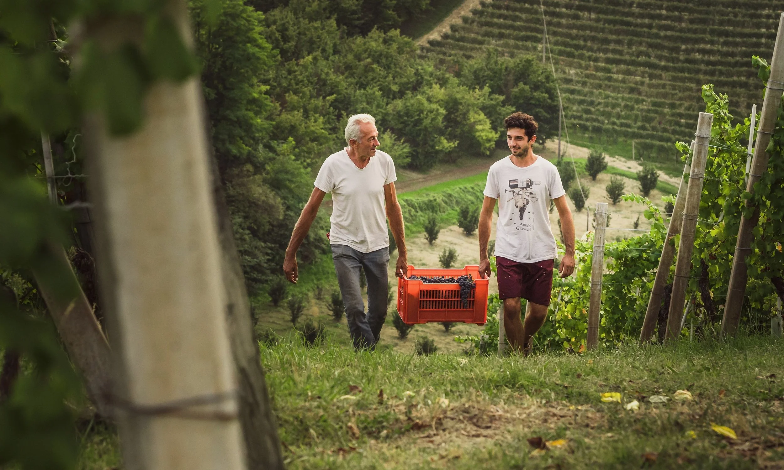 Eeuwenoude wijn tradities van Italië 