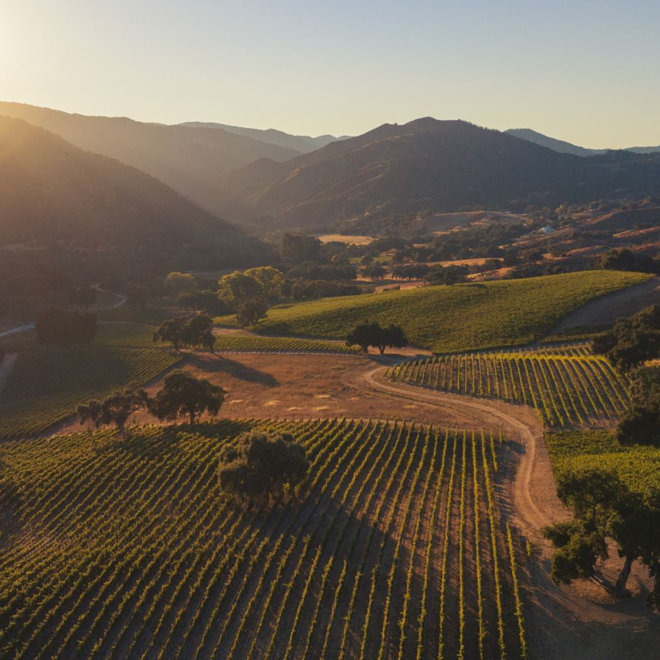 Ontdek USA samen met Bernardus