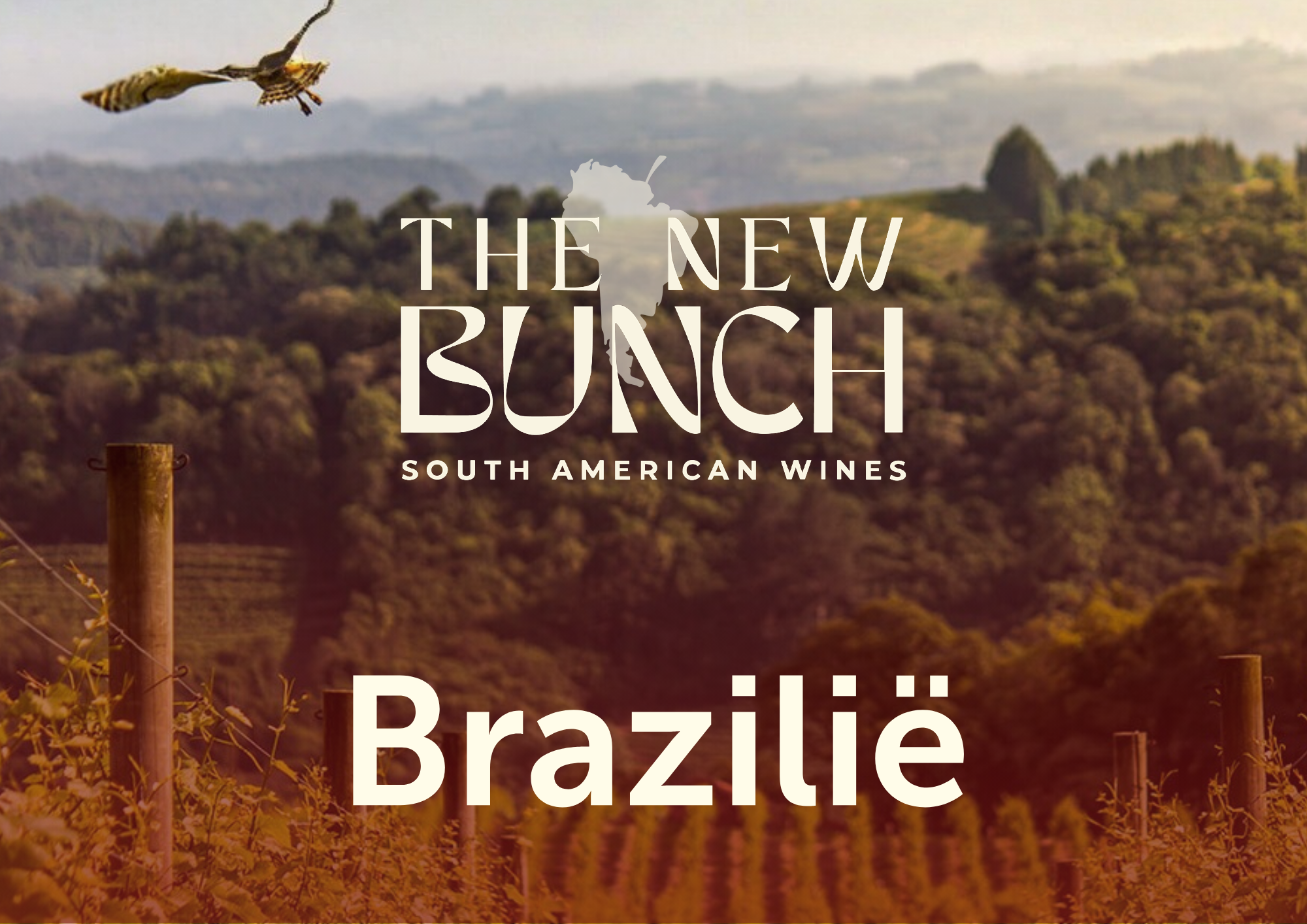 Een landschap van wijngaarden in Brazilië met een heuvelachtig gebied op de achtergrond, en een vogel die in de lucht vliegt.