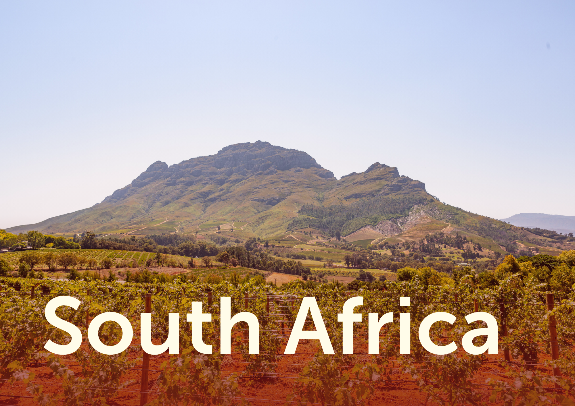 Uitzicht op een berg met wijngaarden in de voorgrond en de tekst "South Africa" in groot wit letters.