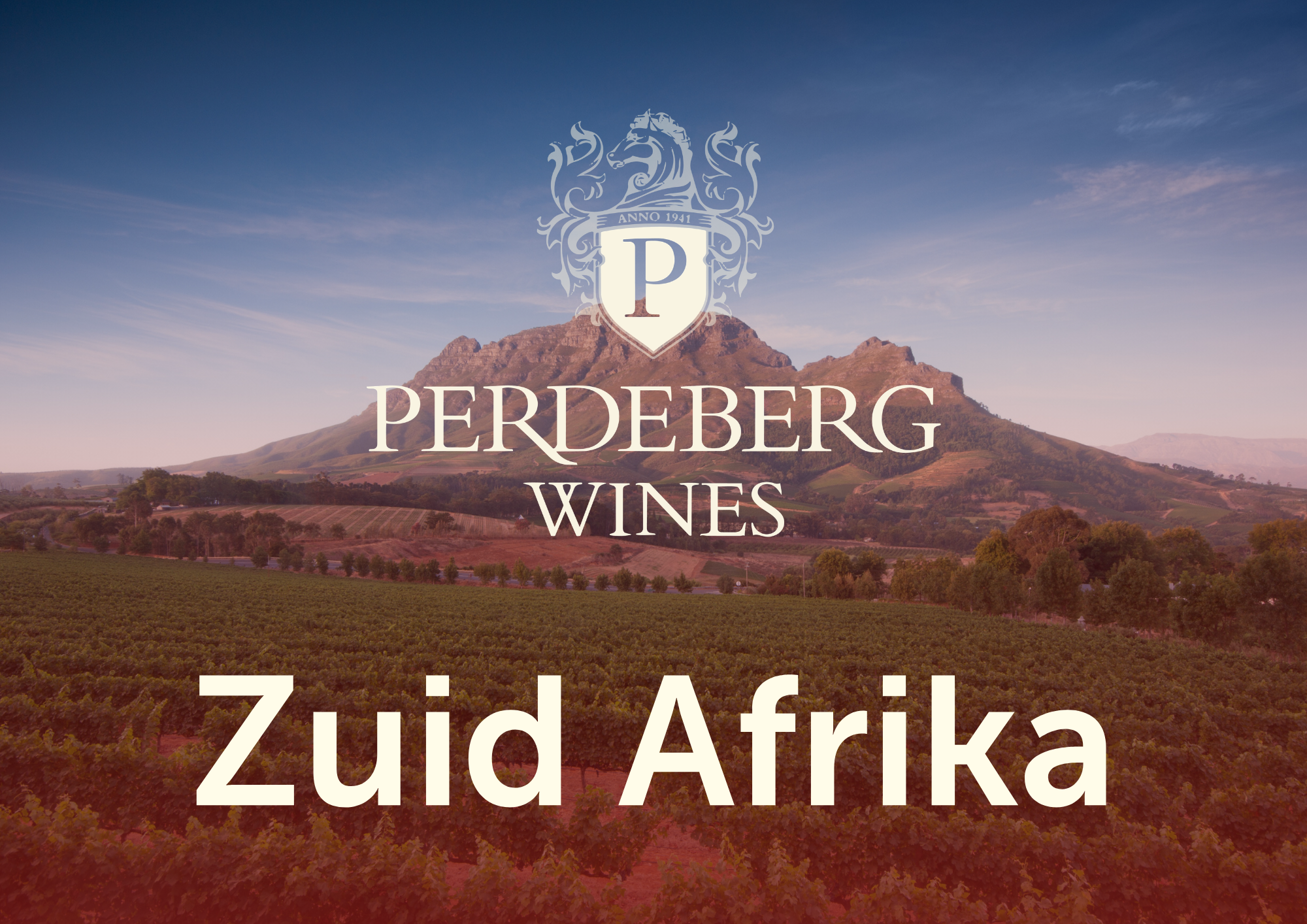 Foto van een wijngaard met bergen op de achtergrond, met overlay tekst: "Perdeberg Wines Zuid Afrika".