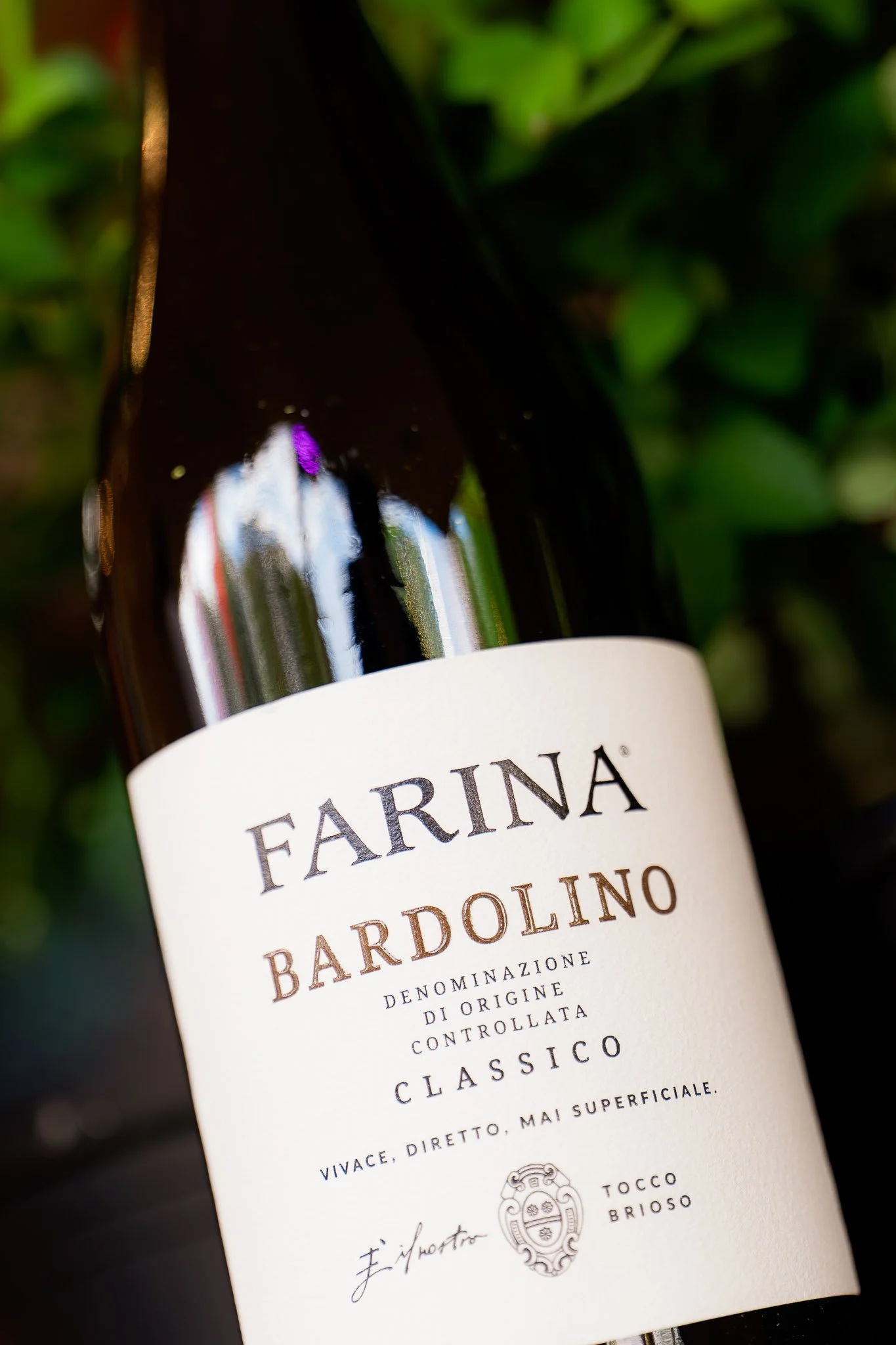 AWF_26-284-FARINA.jpg