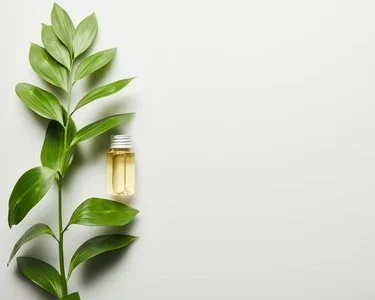 sustainable bio-refinery - reactive extraction