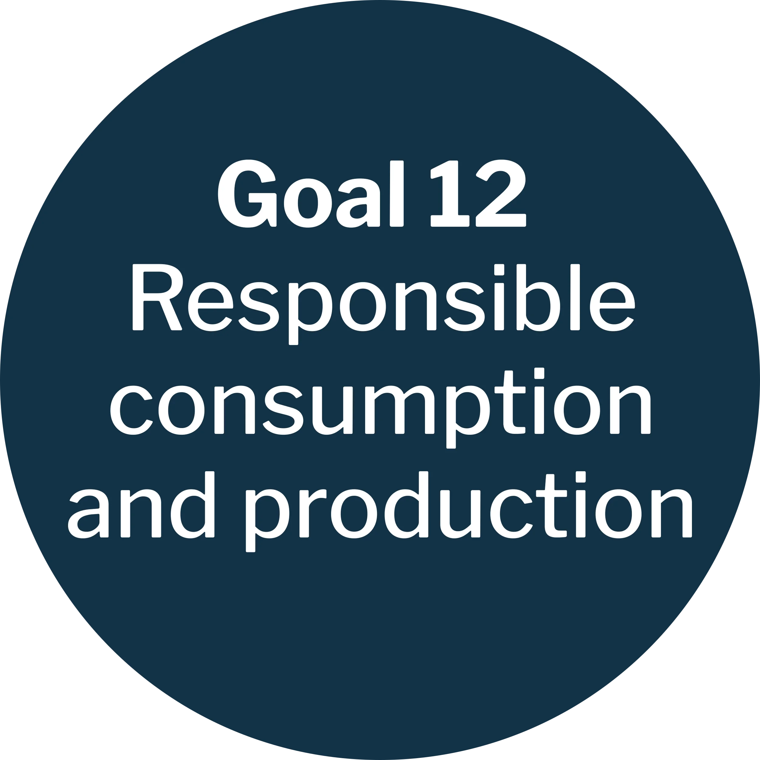 Graphic showing Sustainable Development Goal 12 addressed by the company: Responsible consumption and production