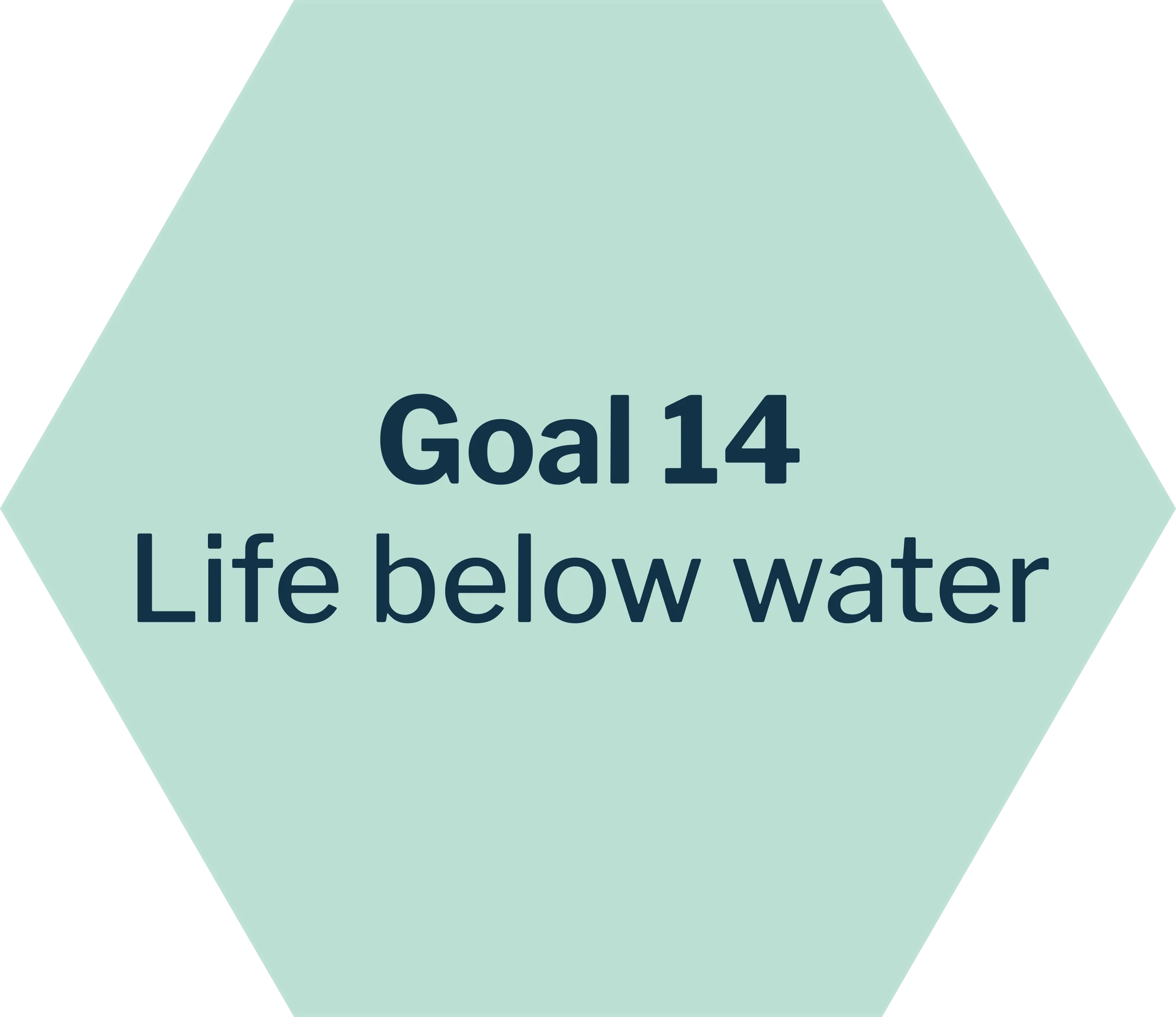 Graphic showing Sustainable Development Goal 14 addressed by the company: Life below water