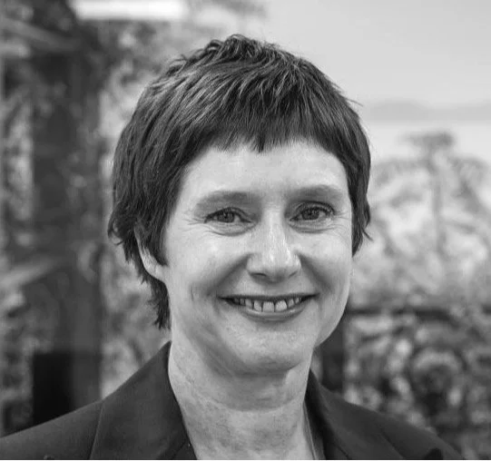 Plinius Labs - Inge Ampe