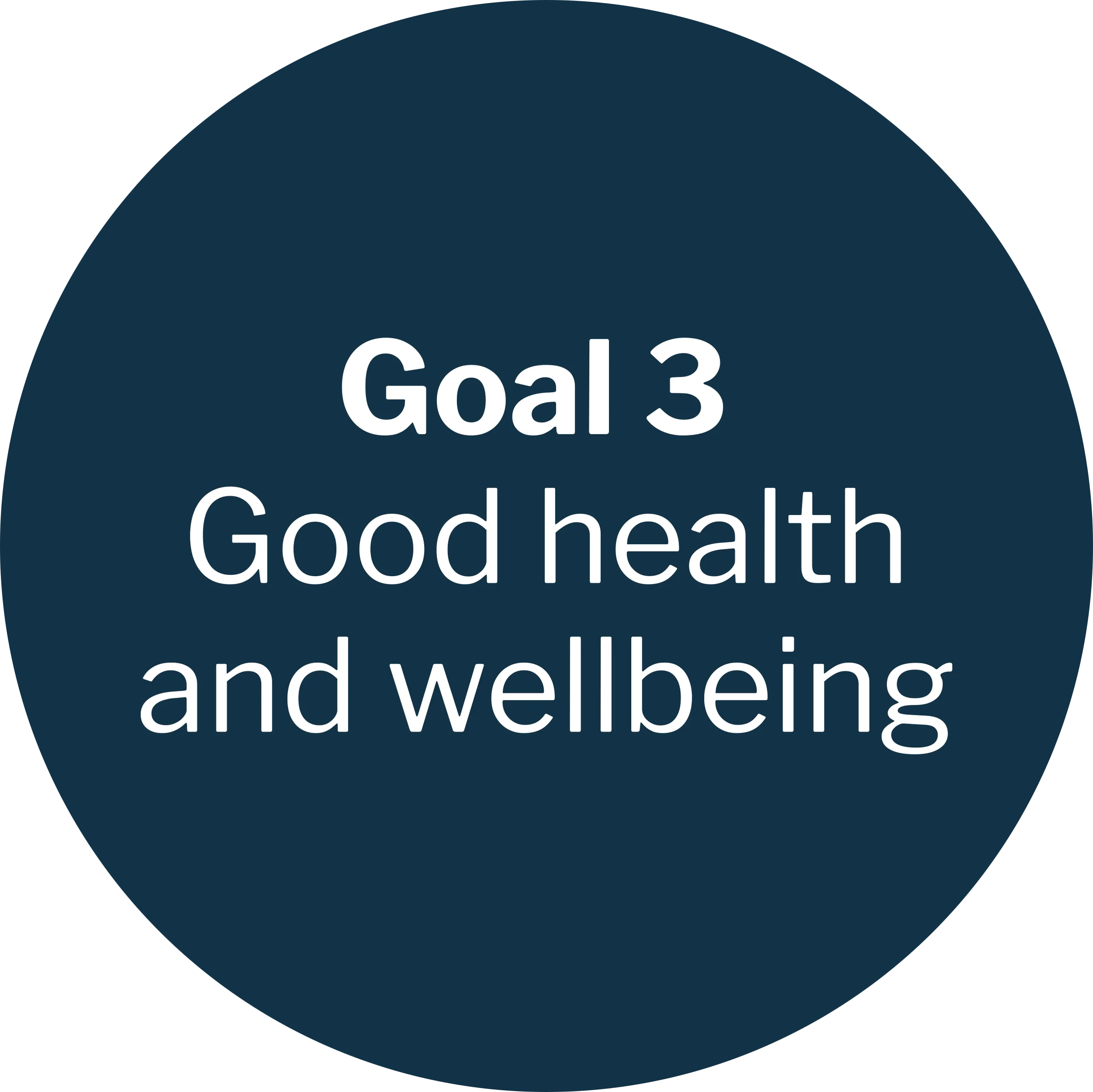 Graphic showing Sustainable Development Goal 3 addressed by the company: Good health and wellbeing