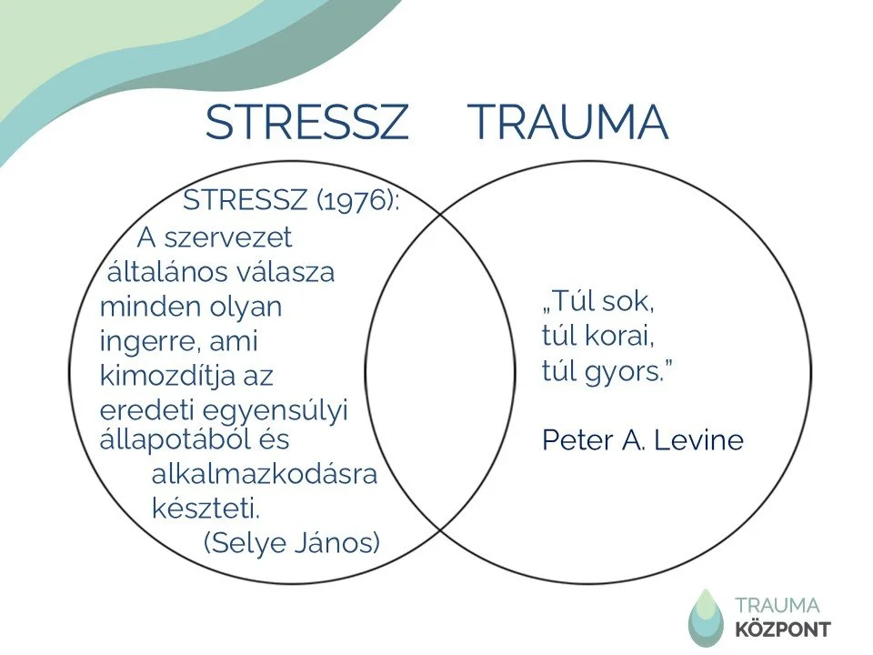 Éves Jelző-rendszeri Tanácskozás 2026. 03.03.