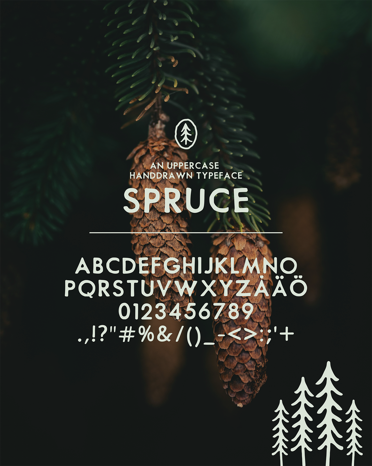 SprucePost-02.png