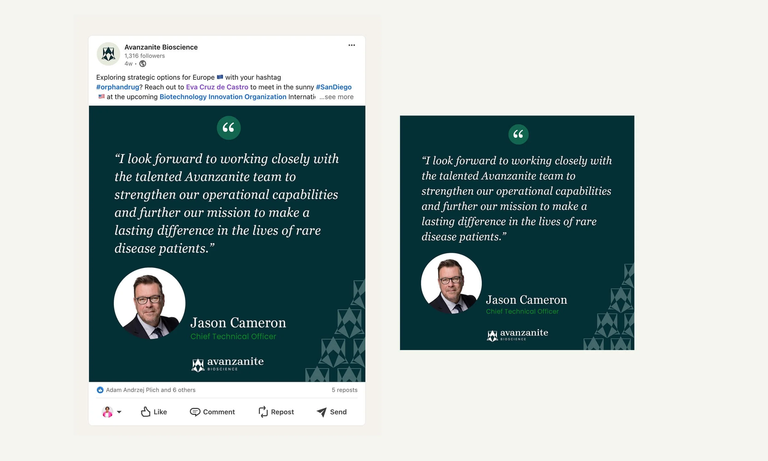 Avanzanite - LinkedIn.jpg