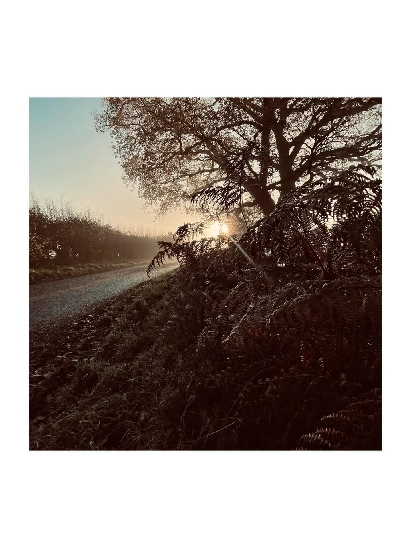 &lsquo;The Shortest Day&rsquo; by Susan Cooper

And so the shortest day came and the year died

And everywhere down the centuries of the snow-white world

Came people singing, dancing,

To drive the dark away.

They lighted candles in the winter tree