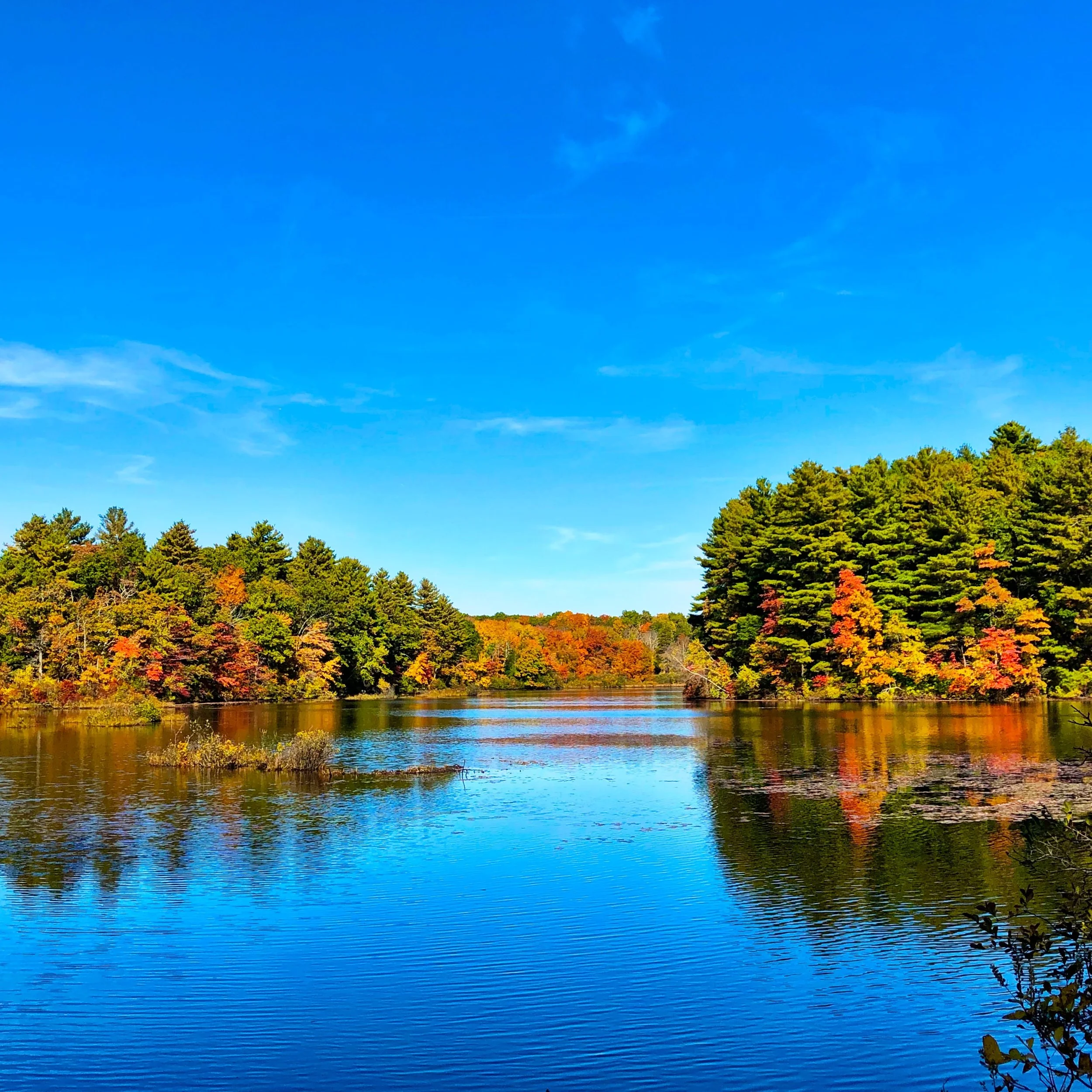  Southeastern Ontario Spotlight: Fall Faves