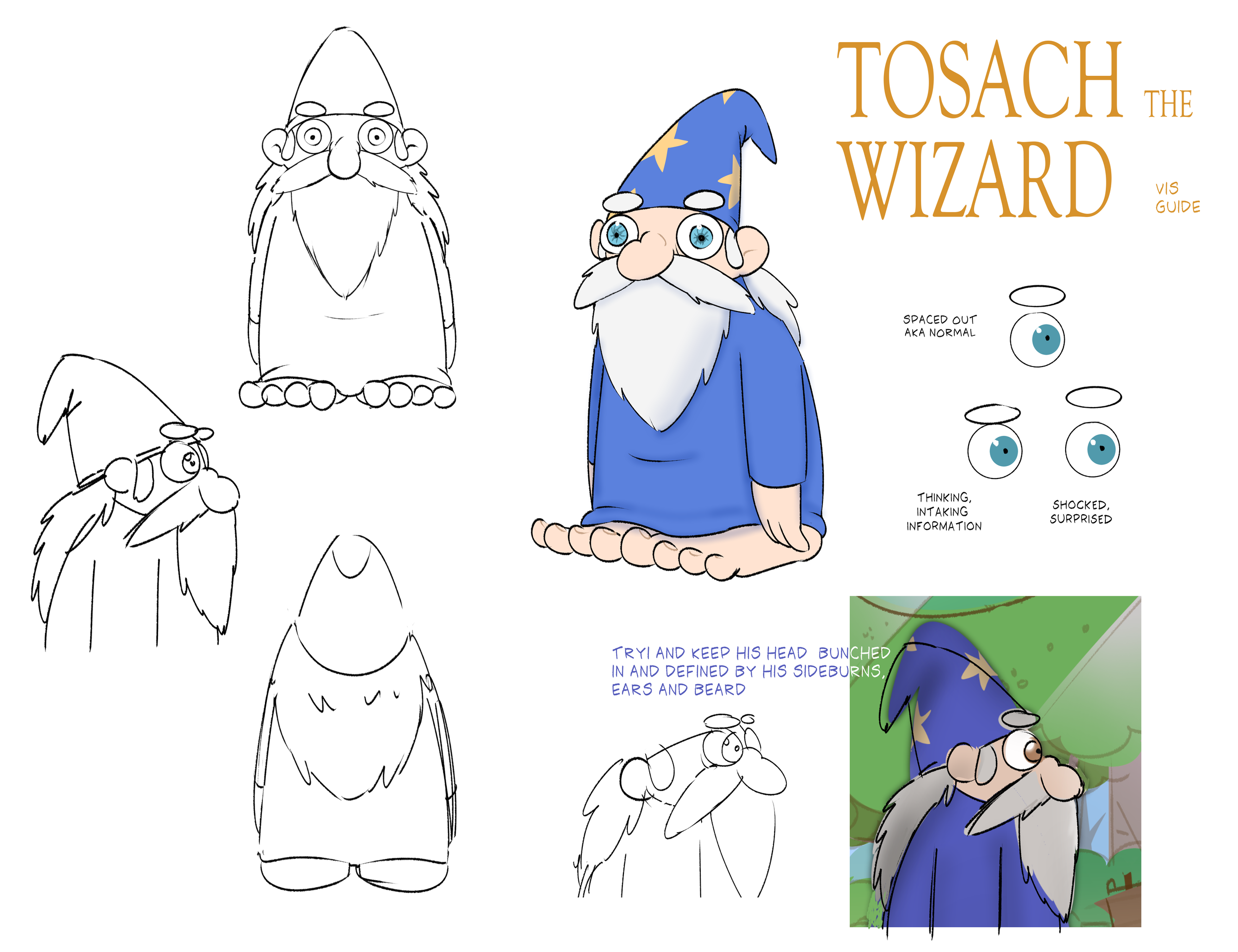 TOSACH updated vis guide.png