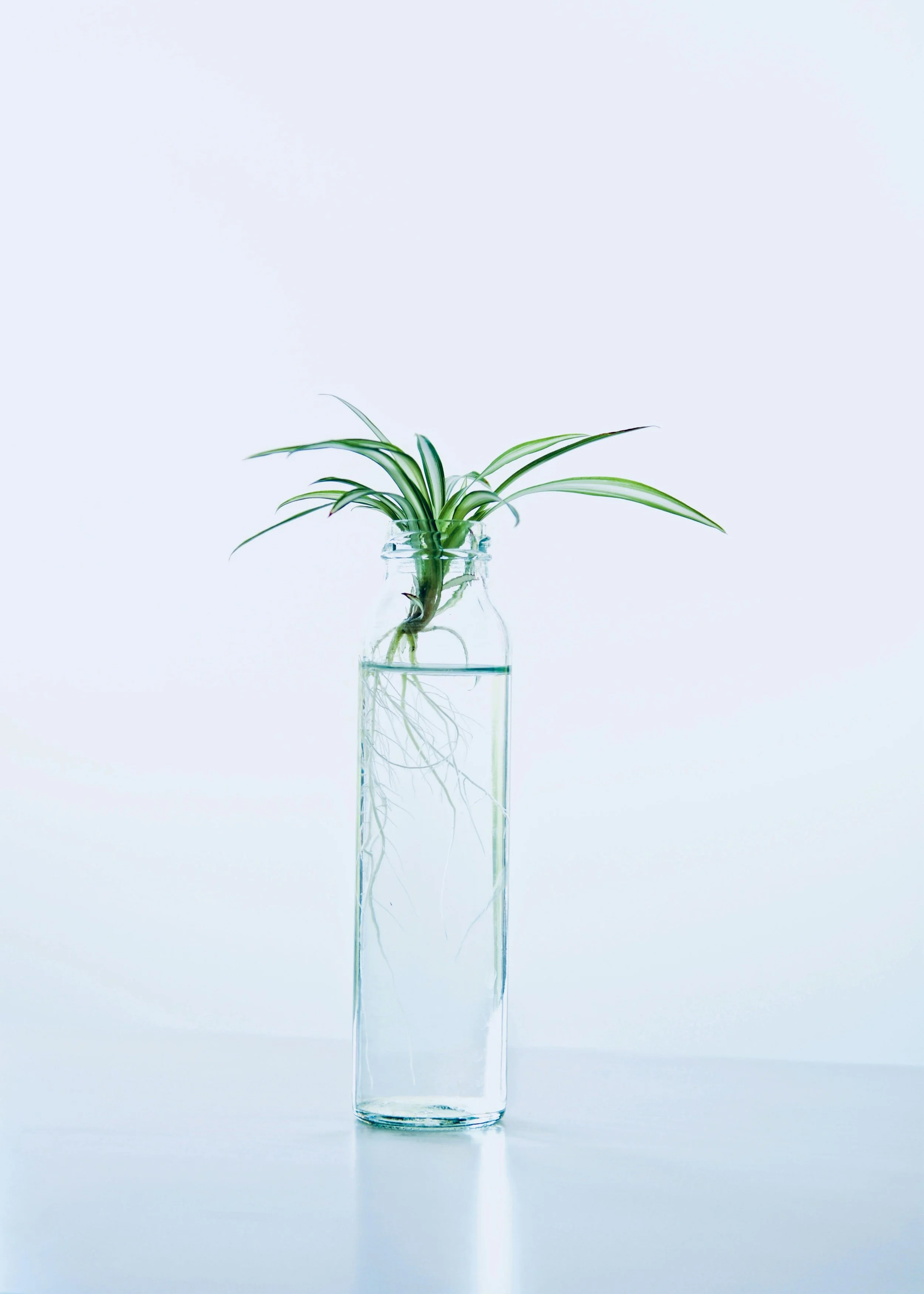 Internal comms for small businesses who don’t have time