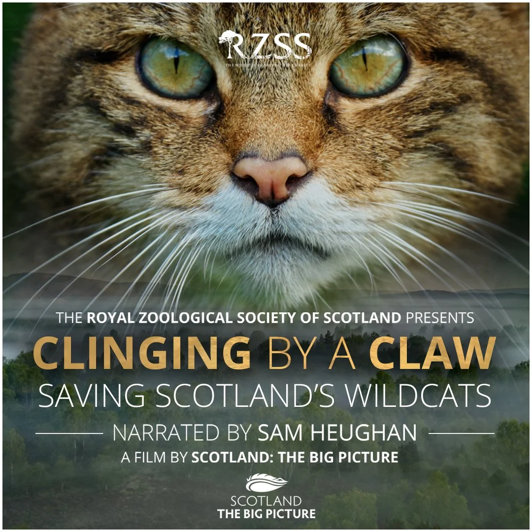 Royal Zoological Society of Scotland presents: Clinging By A Claw