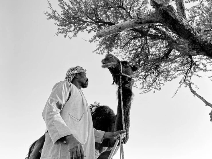 صورة8.jpg
