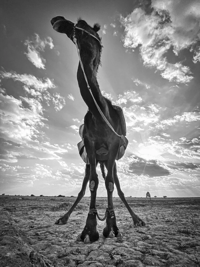 صورة28.jpg