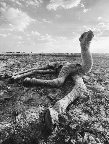 صورة17.jpg