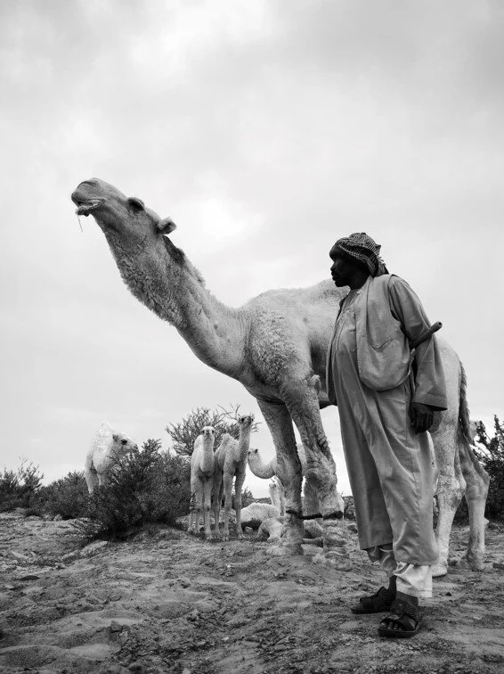 صورة24.jpg