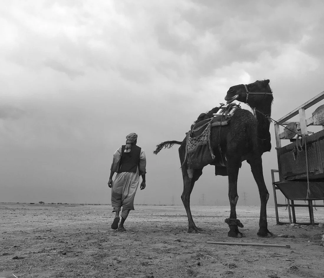 صورة4.jpg