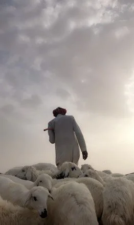 صورة20.jpg