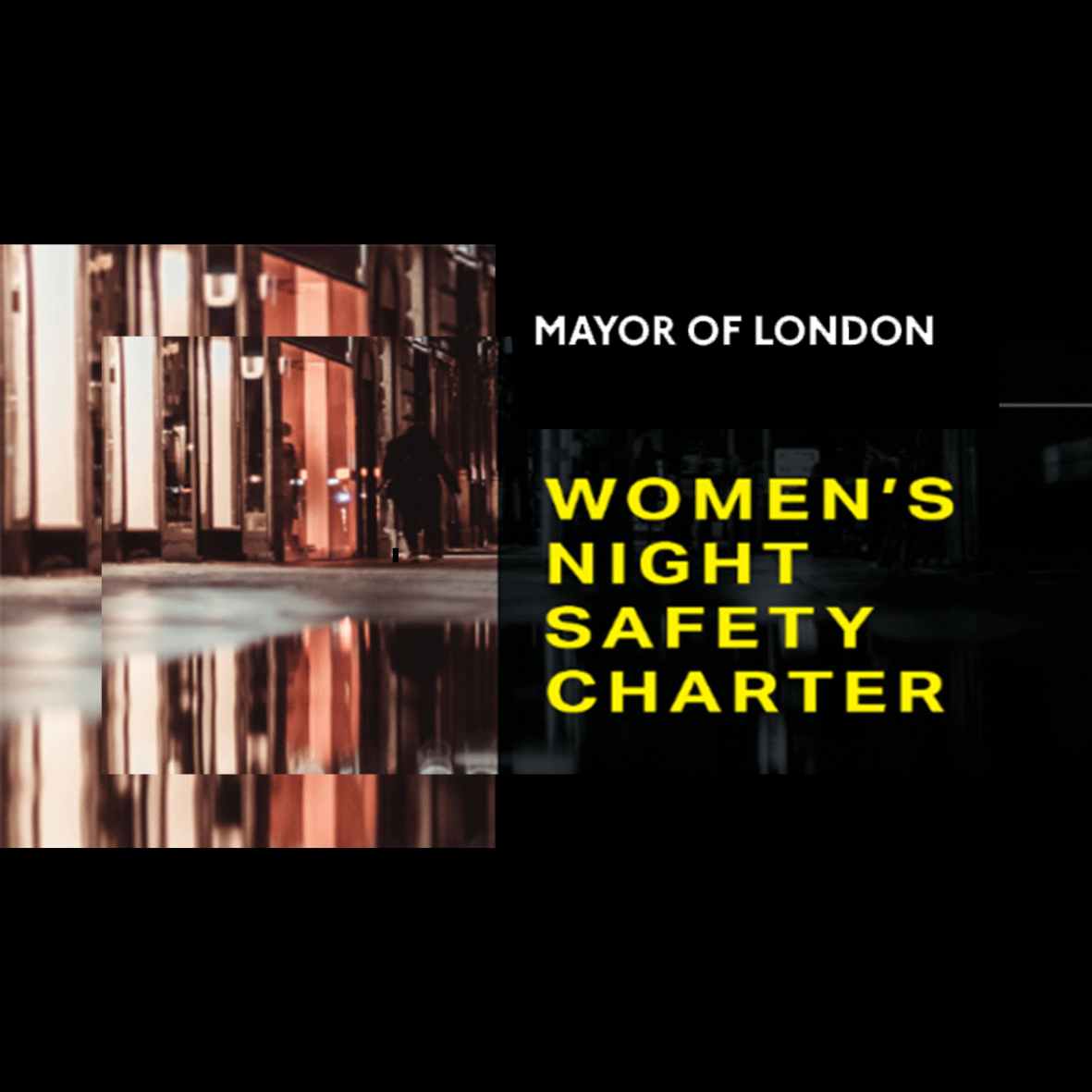 Womens Night Safety Charter