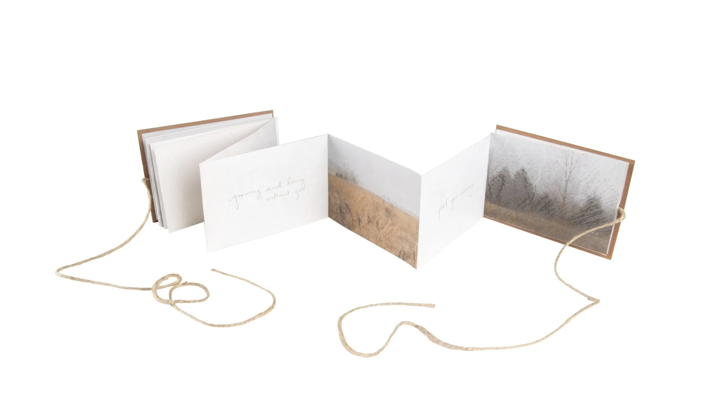 just your memory (2014). Accordion artist book: (22 pages) Digital photography, Japanese fine art paper. 12 feet.