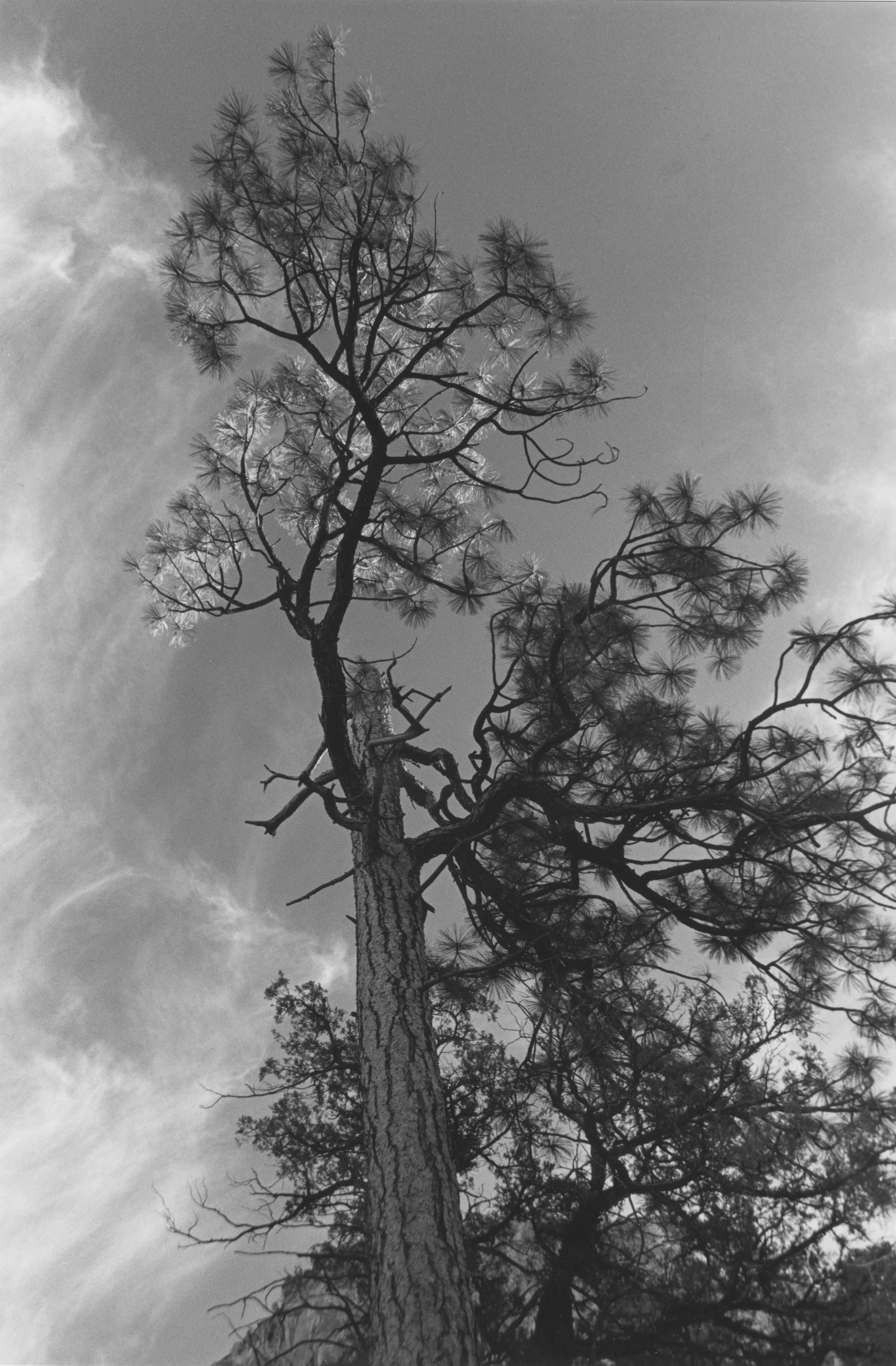 On the Way to Box (2014). 35mm film, selenium toning