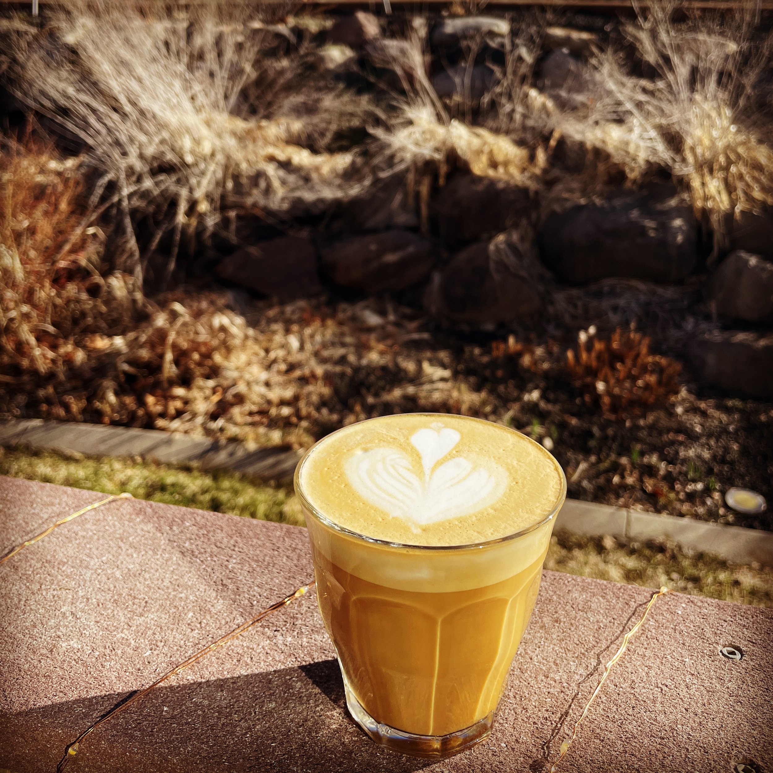 Building a Personal Coffee Data App with Python and Streamlit
