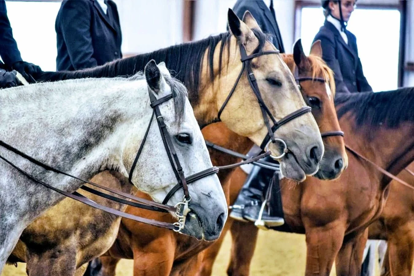County Fair Festivities In Full Swing