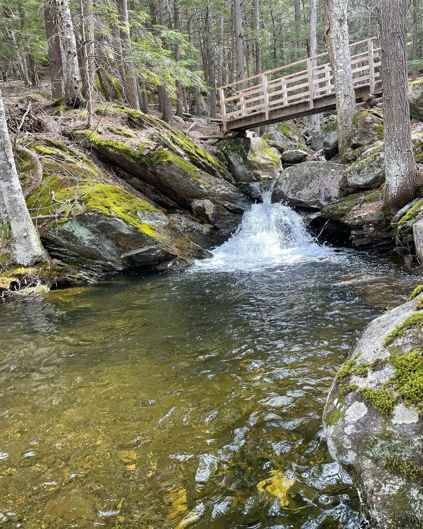 The perfect spot for a waterfall dip and forest bathing walking meditation at my next workshop.  All are welcome, even if you&rsquo;re Wim curious and ready to see what it&rsquo;s all about- this one will be gentle.  Link in bio to register. #chasing