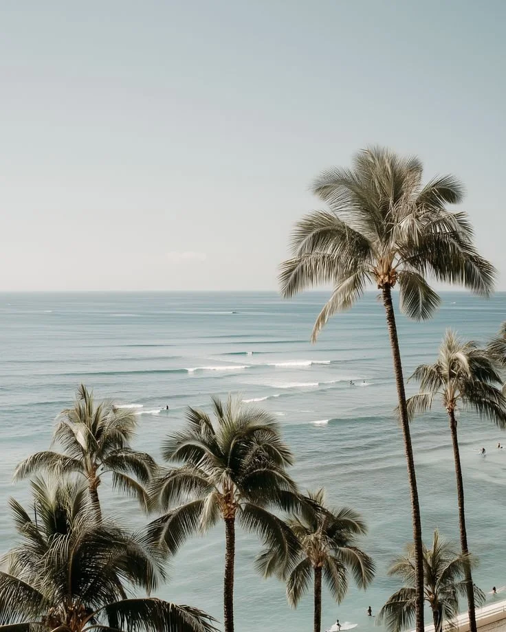 Beach scene with palm trees and surfers in the ocean.