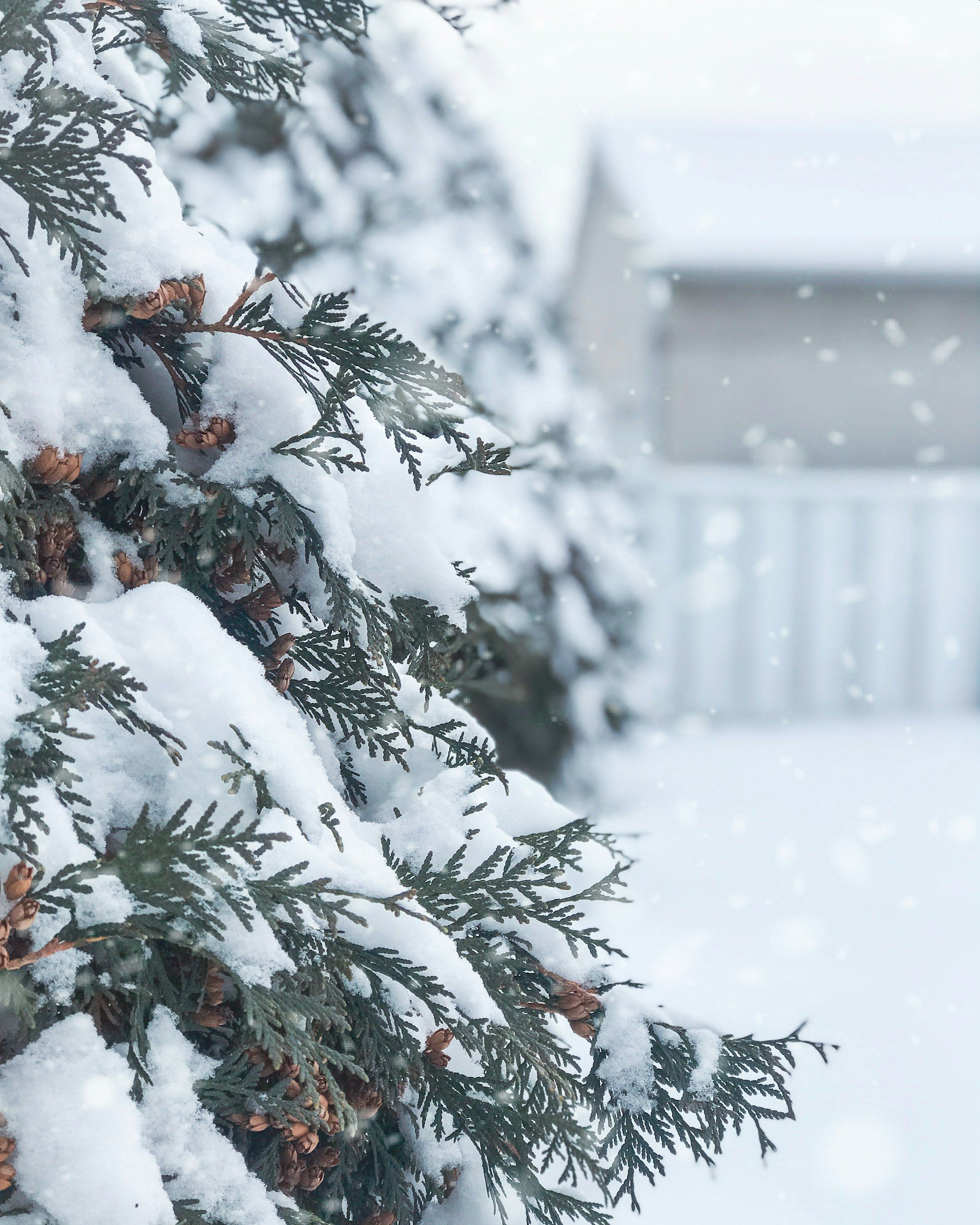 Beating the Winter Blues