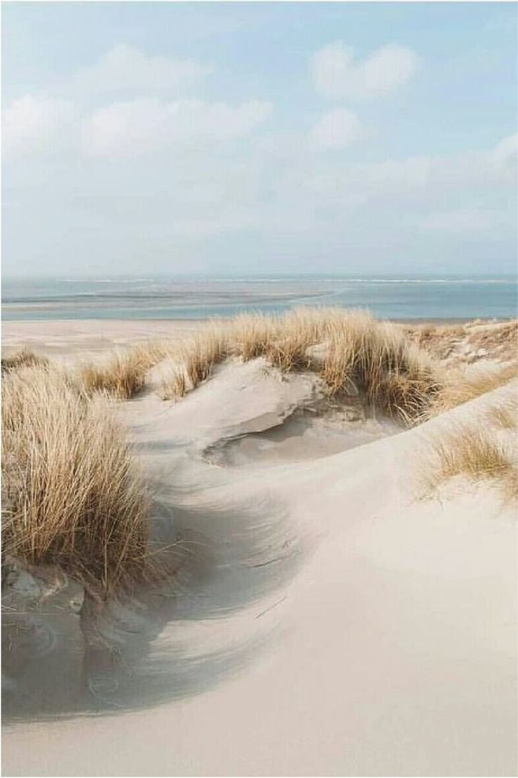 Sandy beach with tall grass dunes and ocean in the background, cloudy sky.