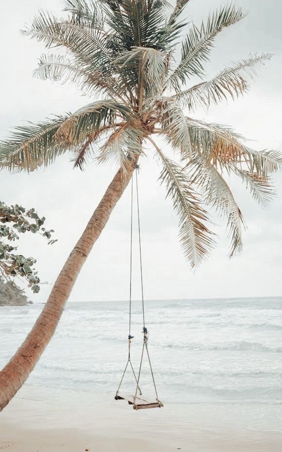 A hammock swing hanging from a tall palm tree on a beach by the ocean with waves and a cloudy sky.
