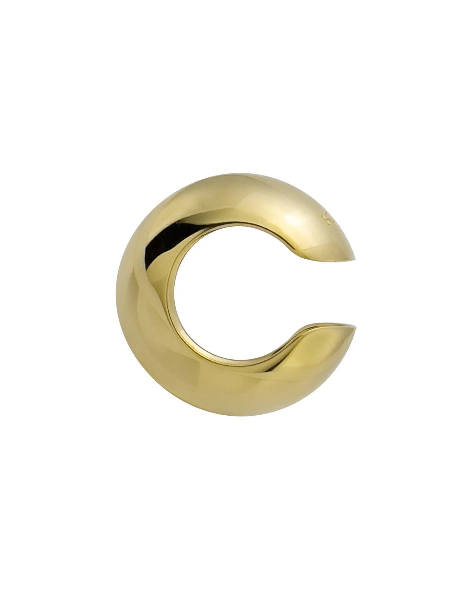 Prince Albert Earring