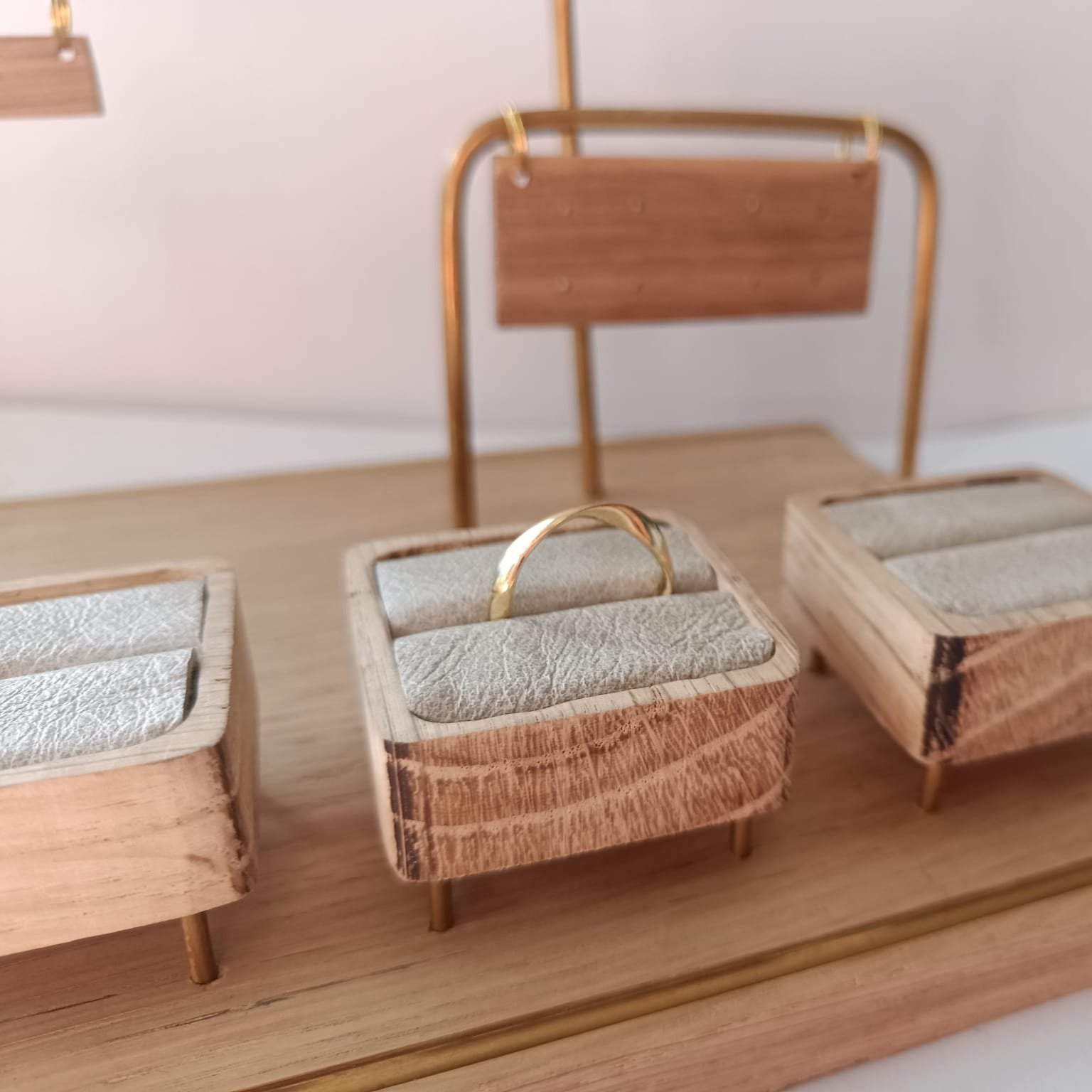 display ringen houders.jpg
