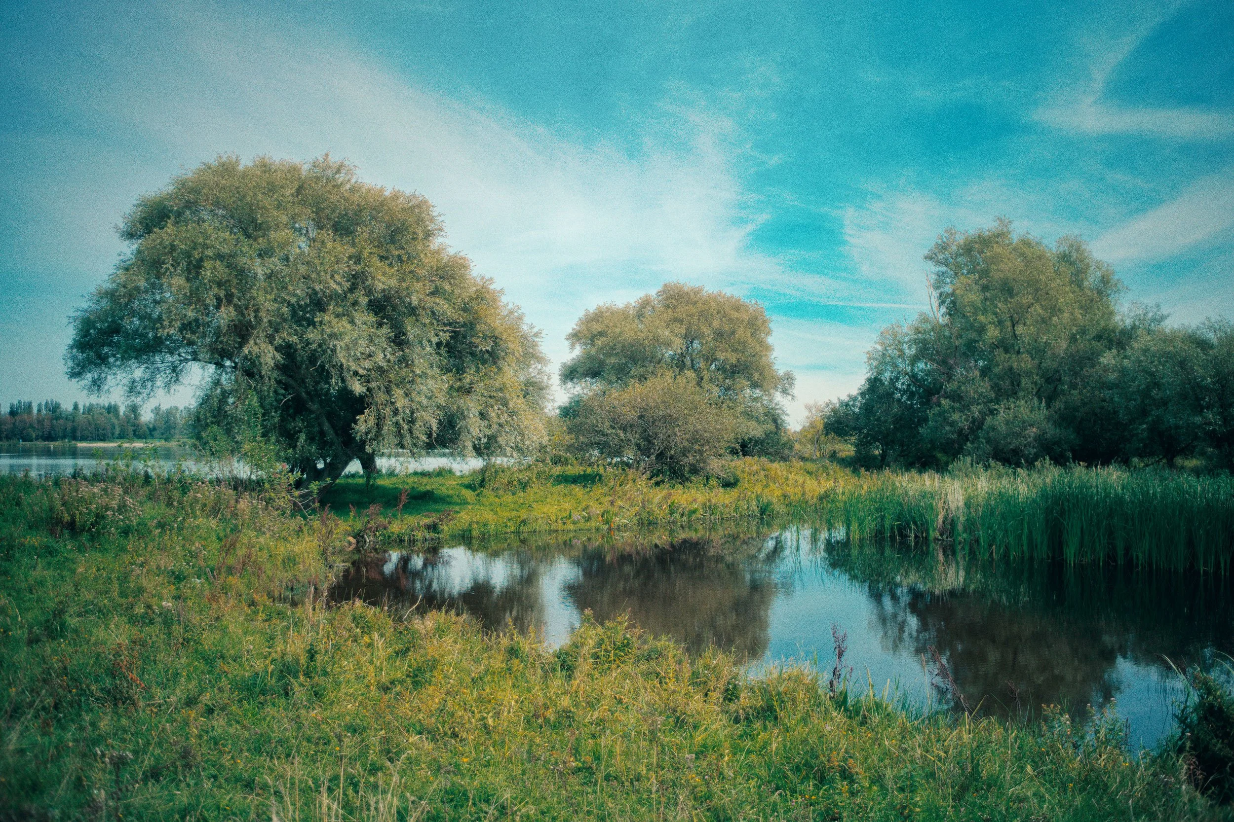 Een rustgevende natuuropname van een rivier met gras en bomen onder een blauwe hemel.