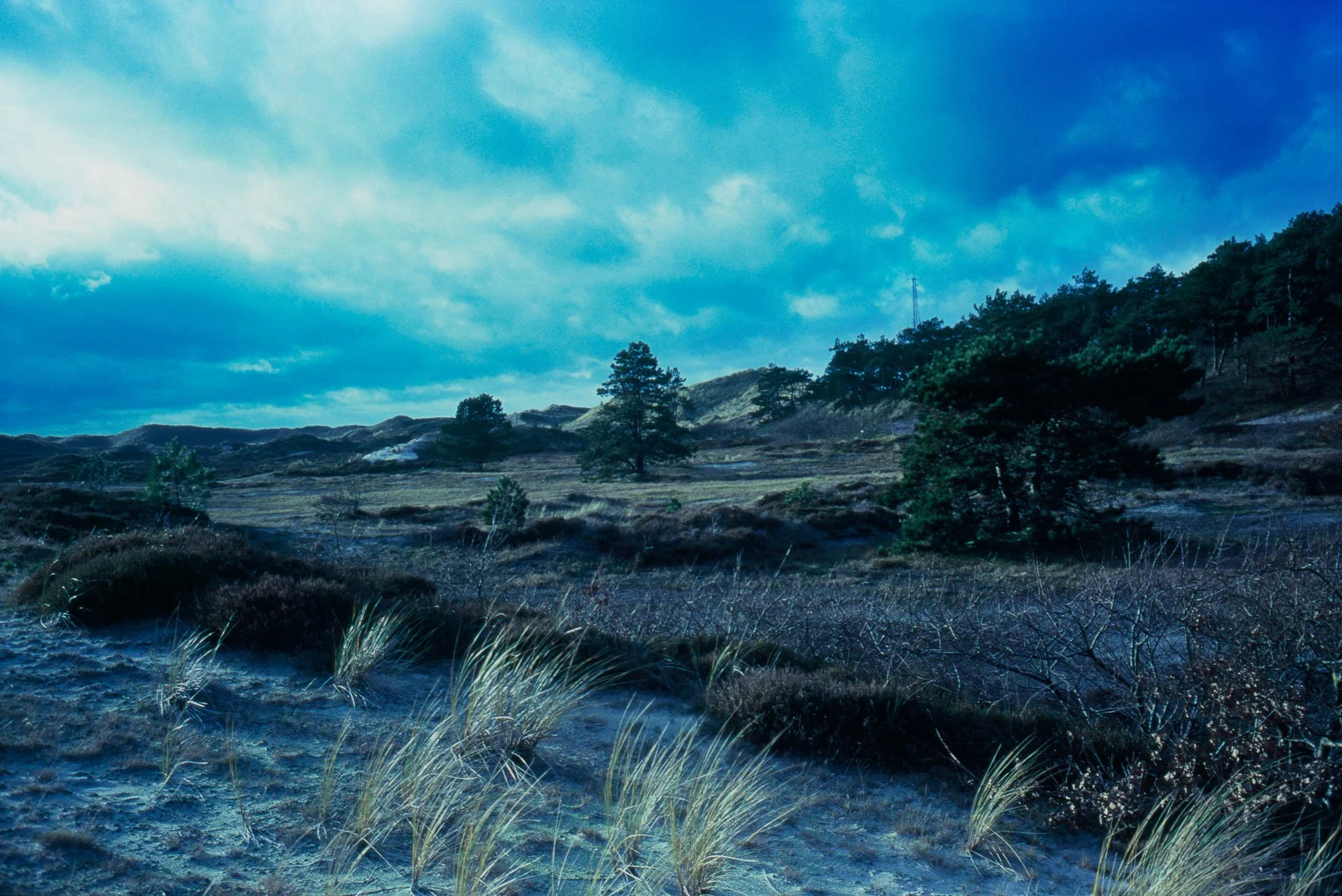 Een landschap met heuvels, bomen en een bewolkte blauwe lucht.