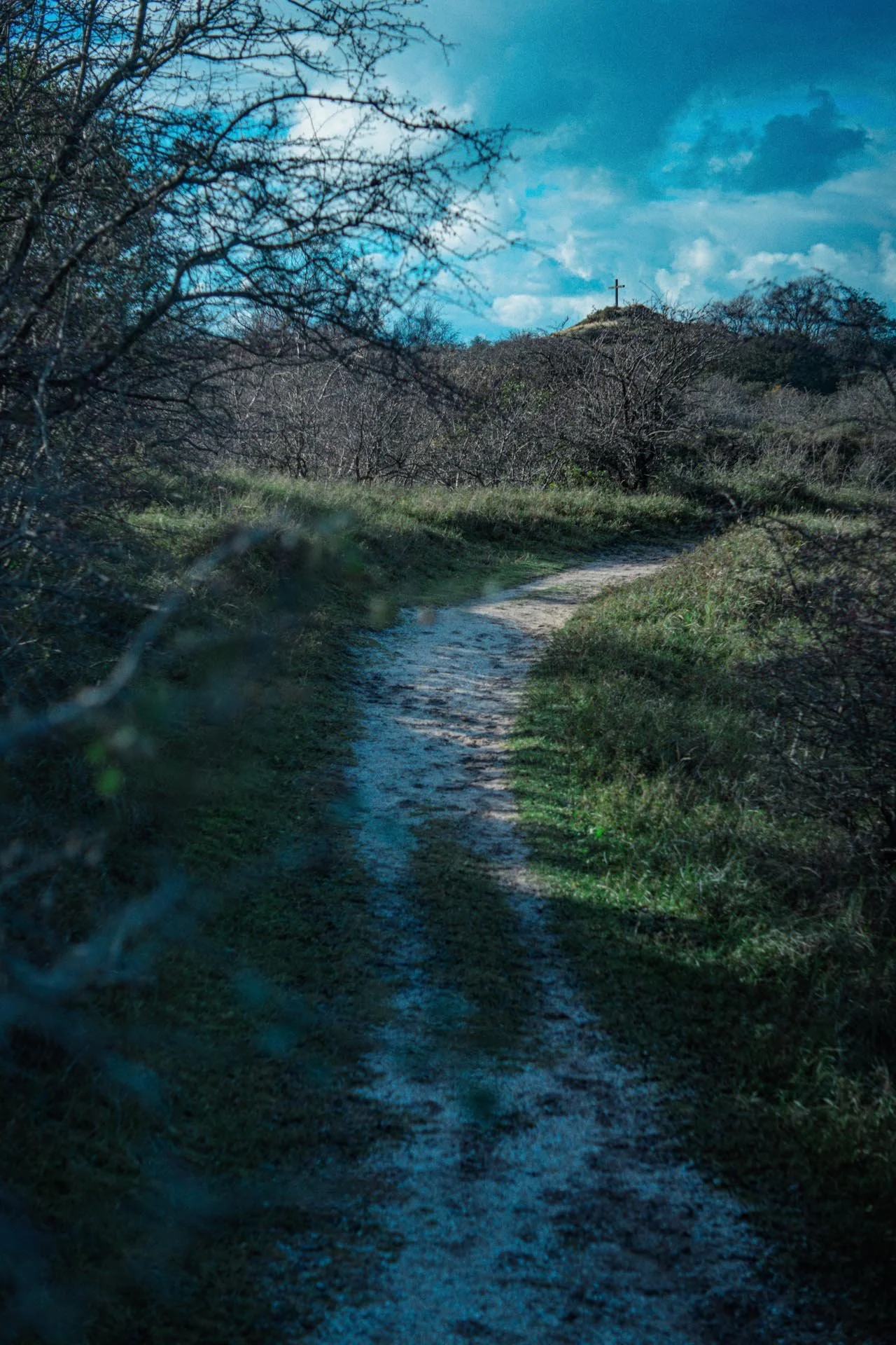 Dirtpad met weelderig gras aan de zijkanten, omgeven door bos met gebladerte en bomen zonder bladeren, onder een bewolkte blauwe hemel. Op de achtergrond bevindt zich een heuvel met een kruis erop.