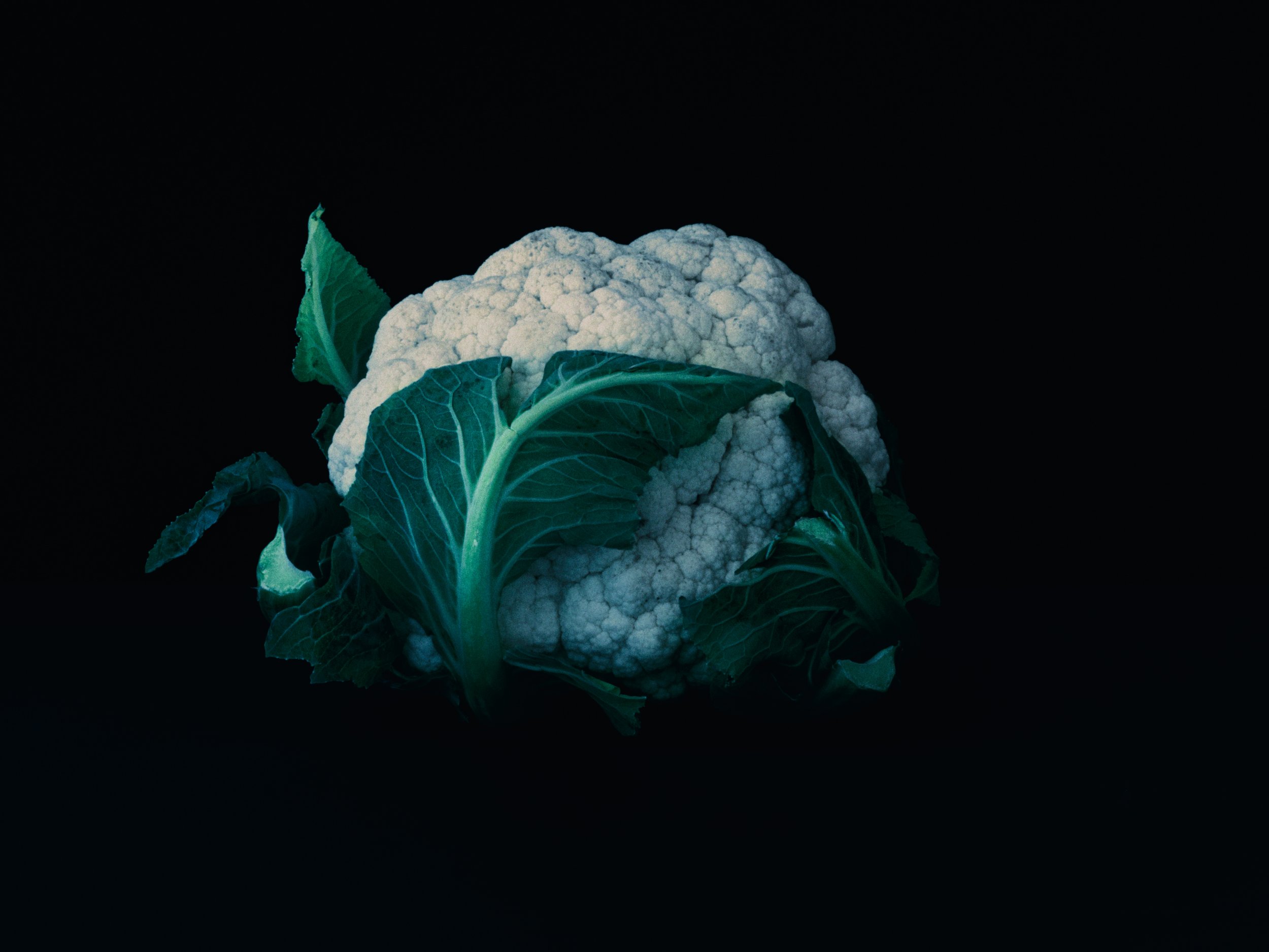Witte bloemkool met groene bladeren op een zwarte achtergrond.