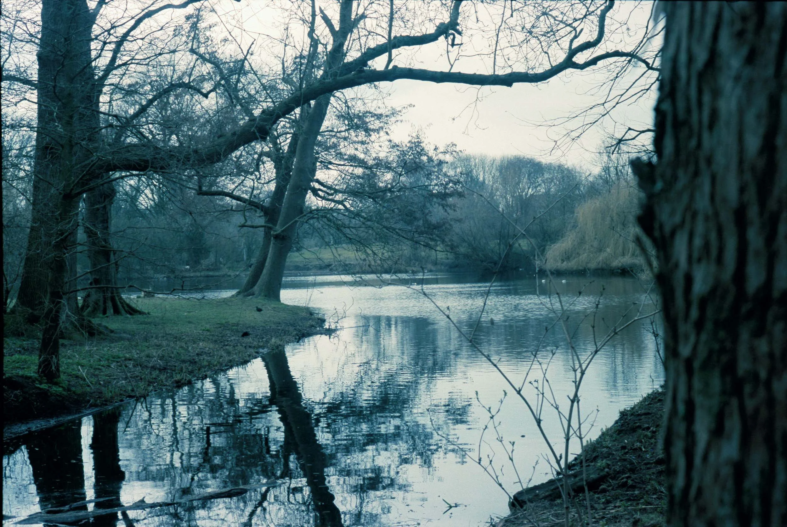 Een rustig waterlandschap met een rivier, omringd door bomen zonder bladeren, onder een bewolkte hemel.
