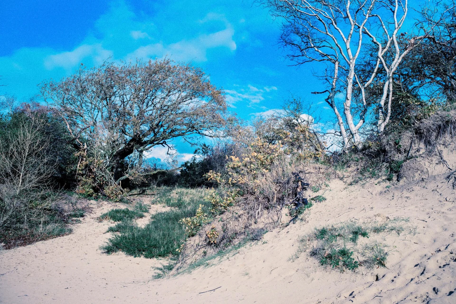 Strandlandschap met zandduinen, gras, boerderijen en bomen onder een blauwe lucht met enkele wolken.