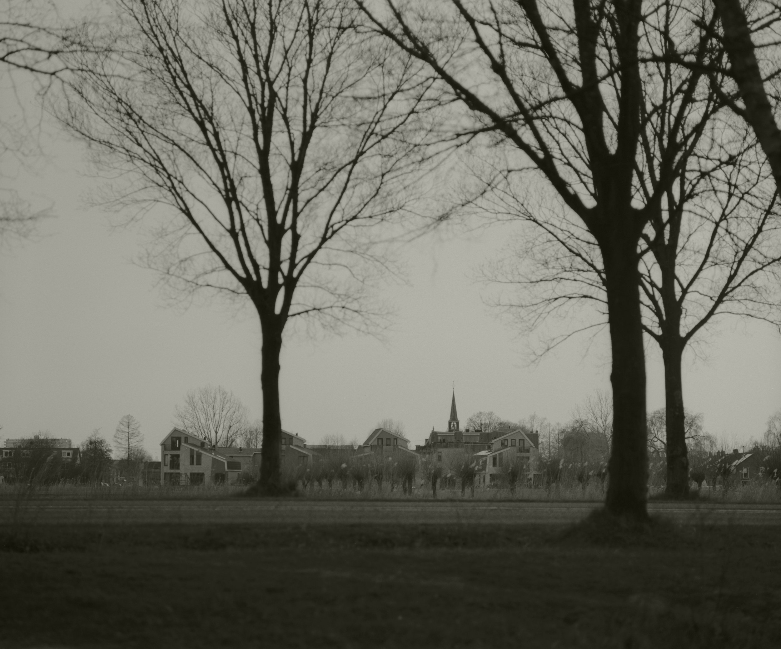 Zwart-wit foto van een open veld met daarin twee grote bladloze bomen op de voorgrond en een dorp met kerktoren op de achtergrond.