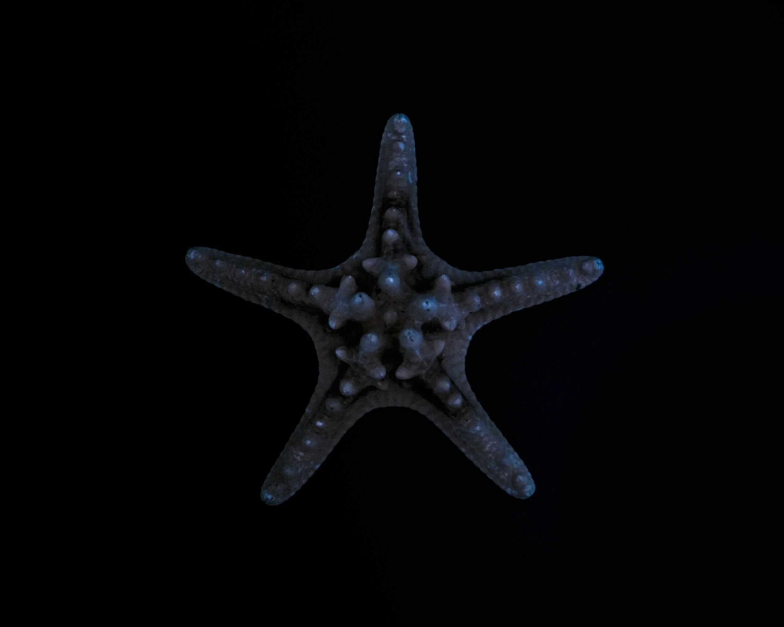 Een donkere achtergrond met een lichtgevende gestreepte stervisserij.