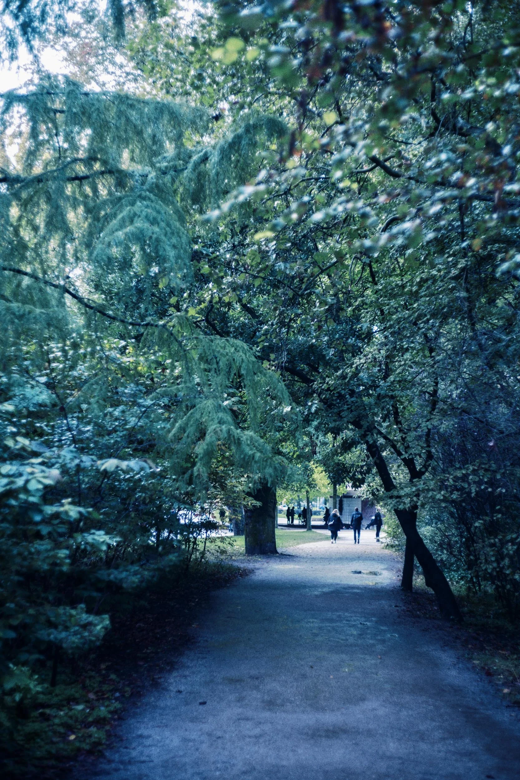Wandelpad door een groene park met grote bomen en mensen die wandelen in de verte.