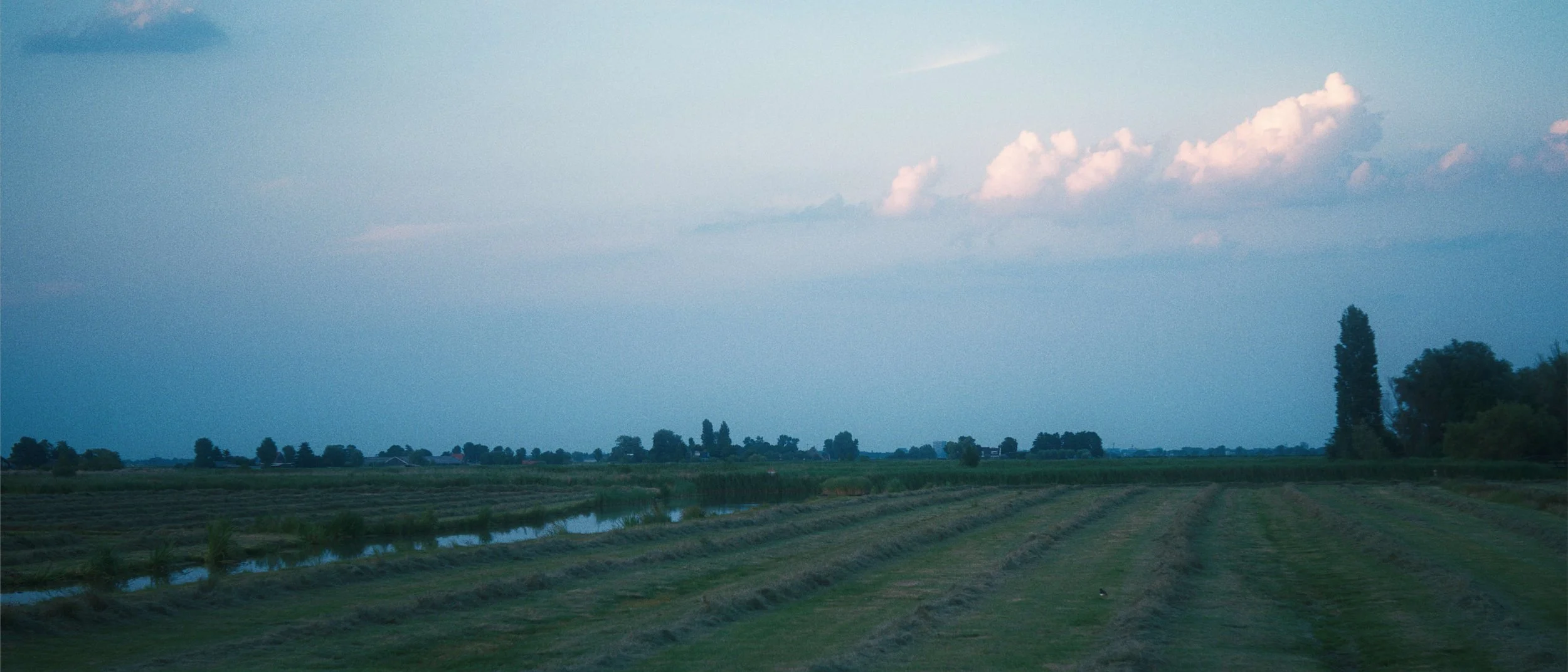 Zaanse Schans Cinematic 3.jpg